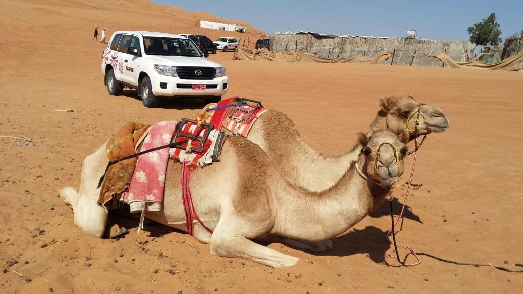 Wahiba Sands and Wadi Bani Khaled Safari