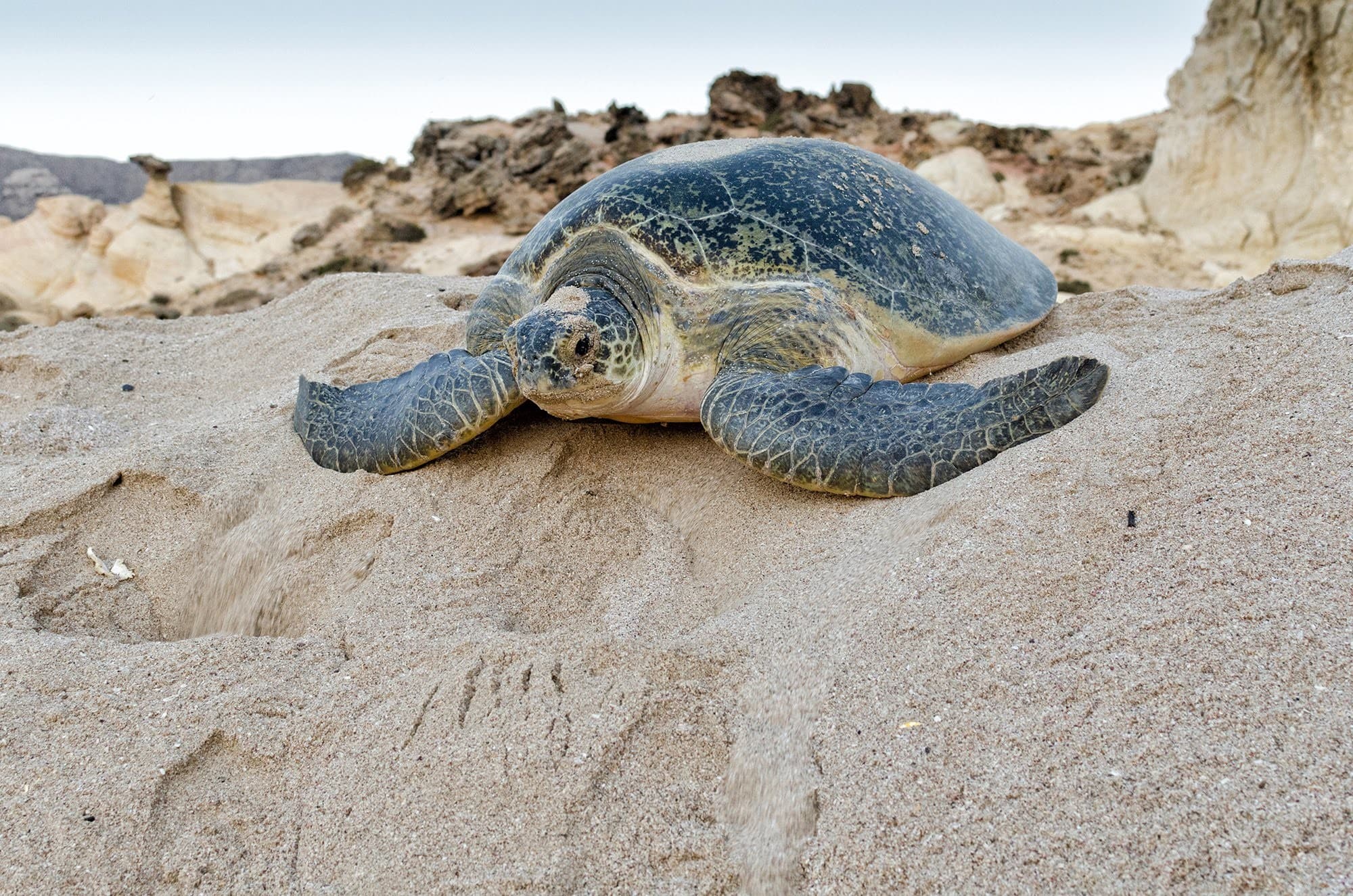 4 Days Dazzling Oman Tour Package