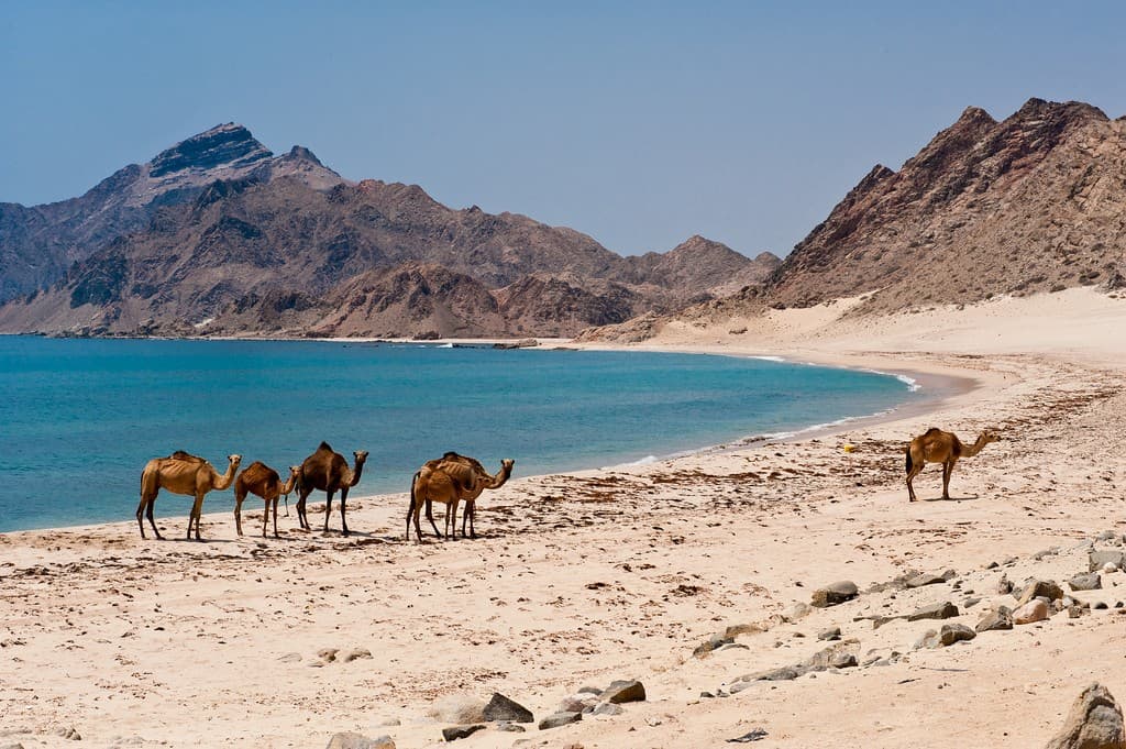 East Of Salalah Splendor of the East Half Day